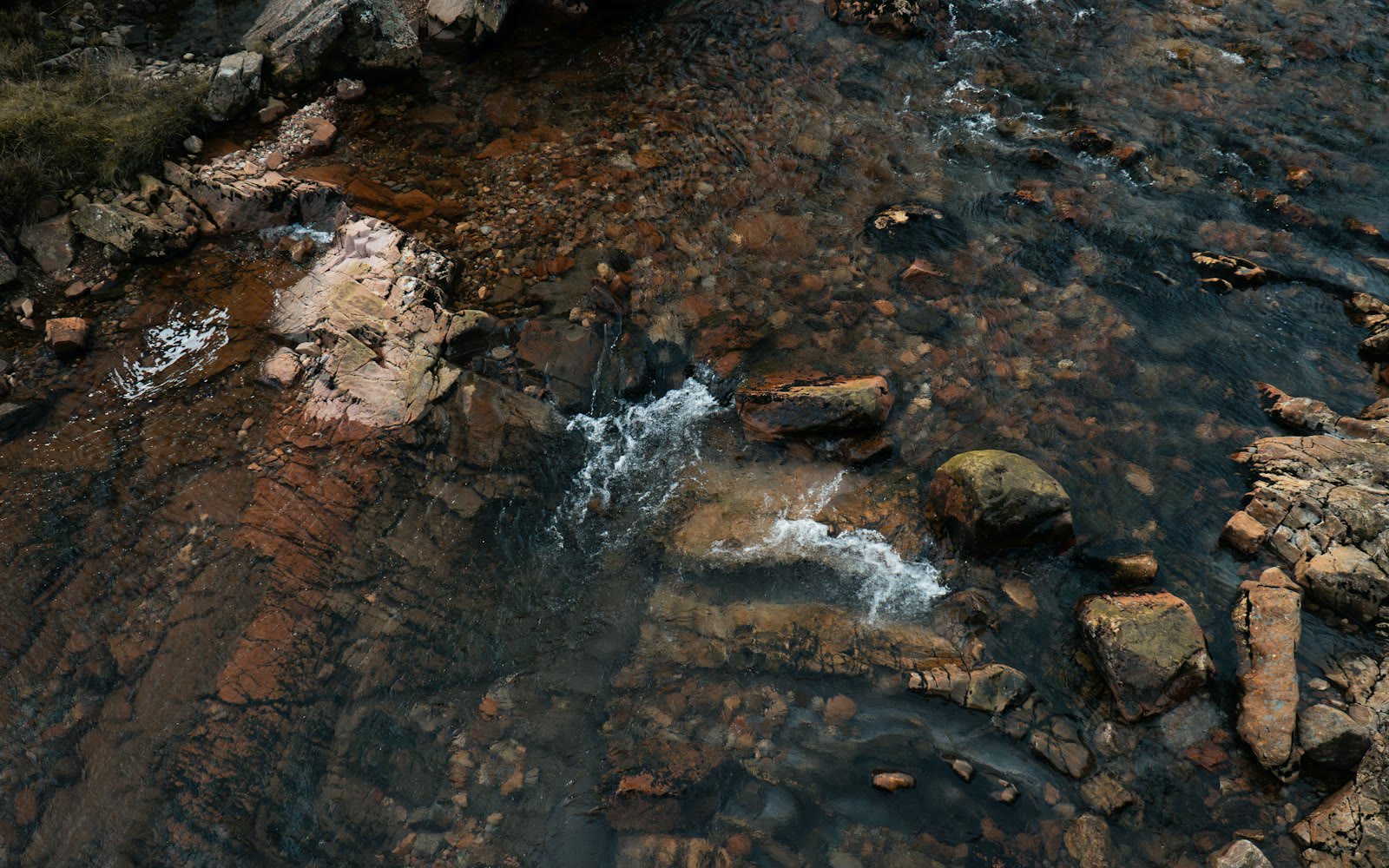 A stream running through a forest filled with lots of rocks