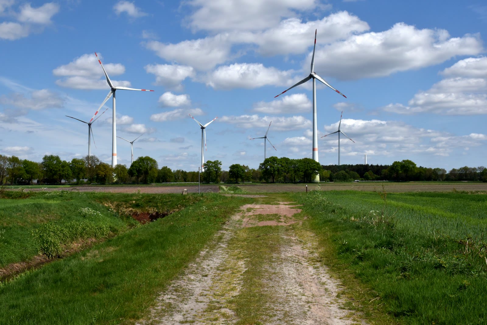 Wind turbines stand tall in a green field.